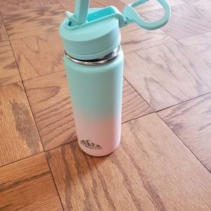 Hydrapeak 20oz water bottle with straw lid